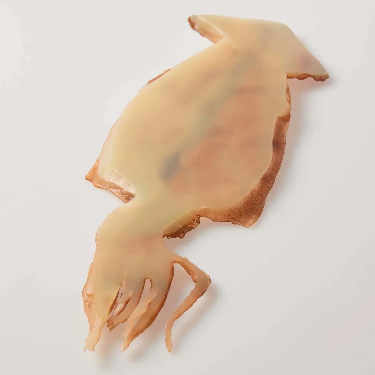 スルメイカパーツ