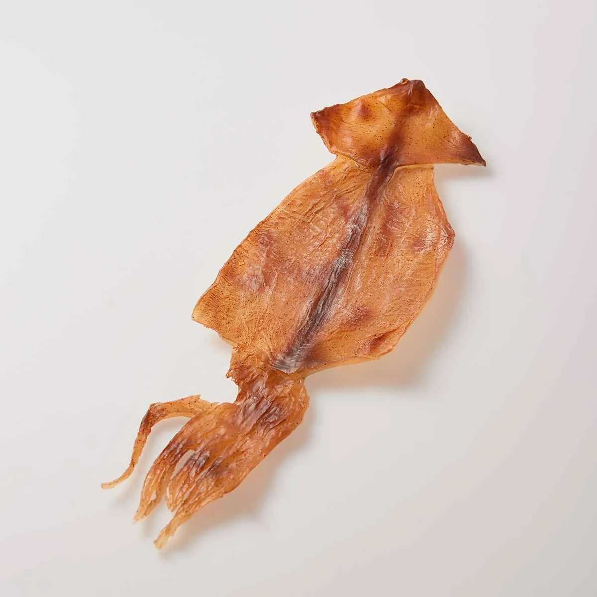 スルメイカパーツ