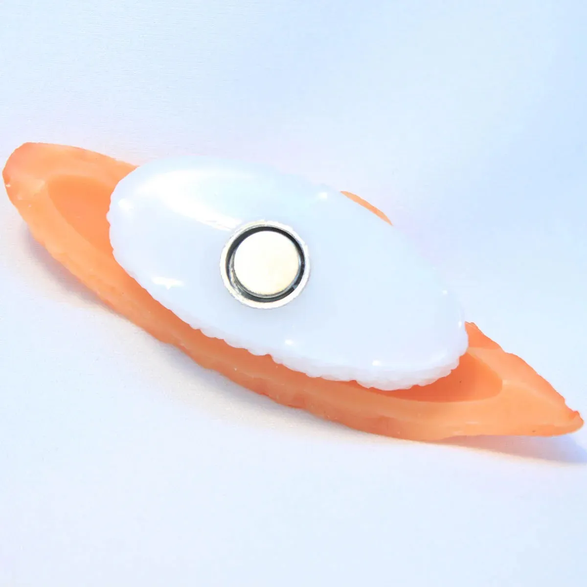 寿司サーモンマグネット