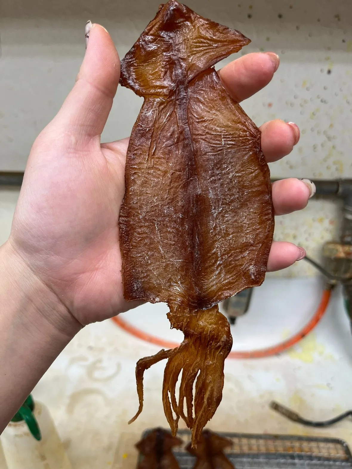 工場に潜入！「酒の肴」にぴったりのアレを発見しました！