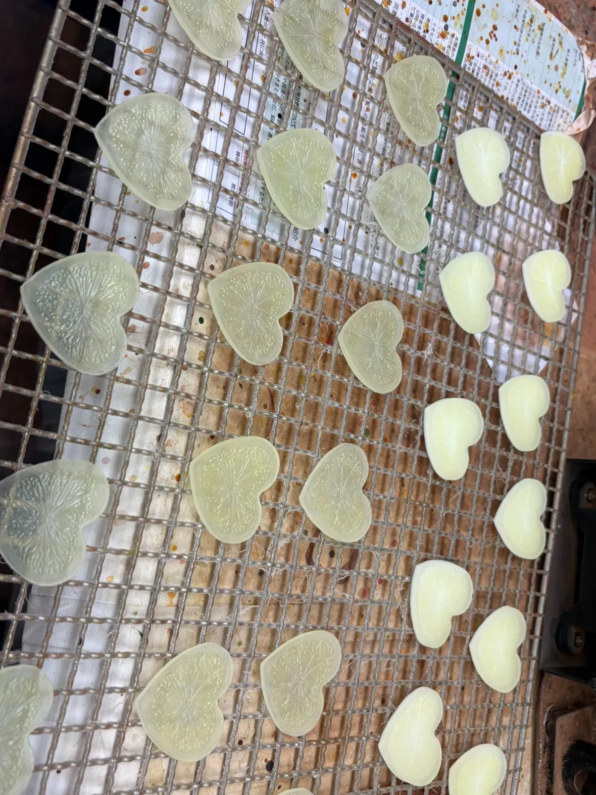 【工場潜入】手間暇かかった「ハートレモン」の裏側見せちゃいます🍋💛