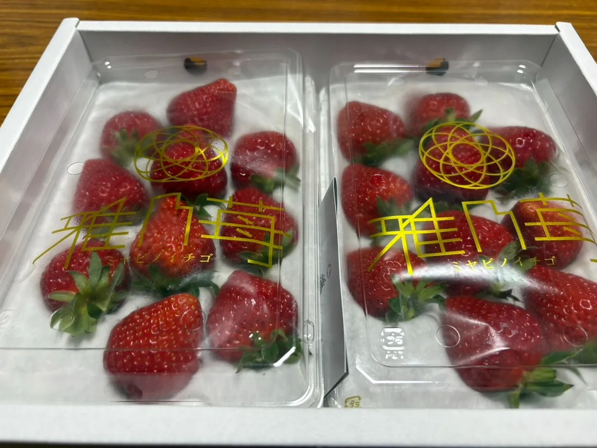 高級イチゴから生まれる「新作パフェ」プロジェクト始動🍓✨