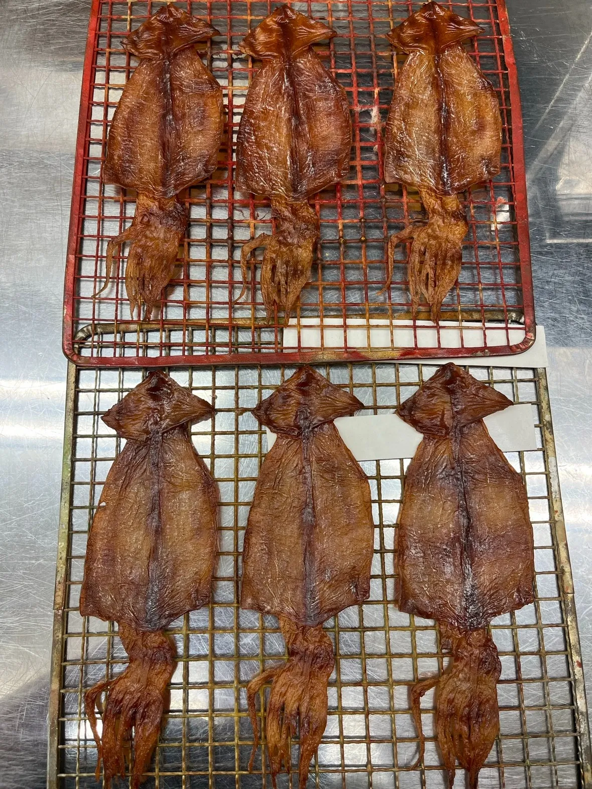 【店長推し】酒の肴に最高（！？）リアルすぎる「スルメ」が焼き上がりました🦑🔥