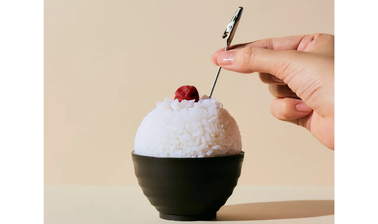 新潟昔ばなし飯メモスタンド工作キット